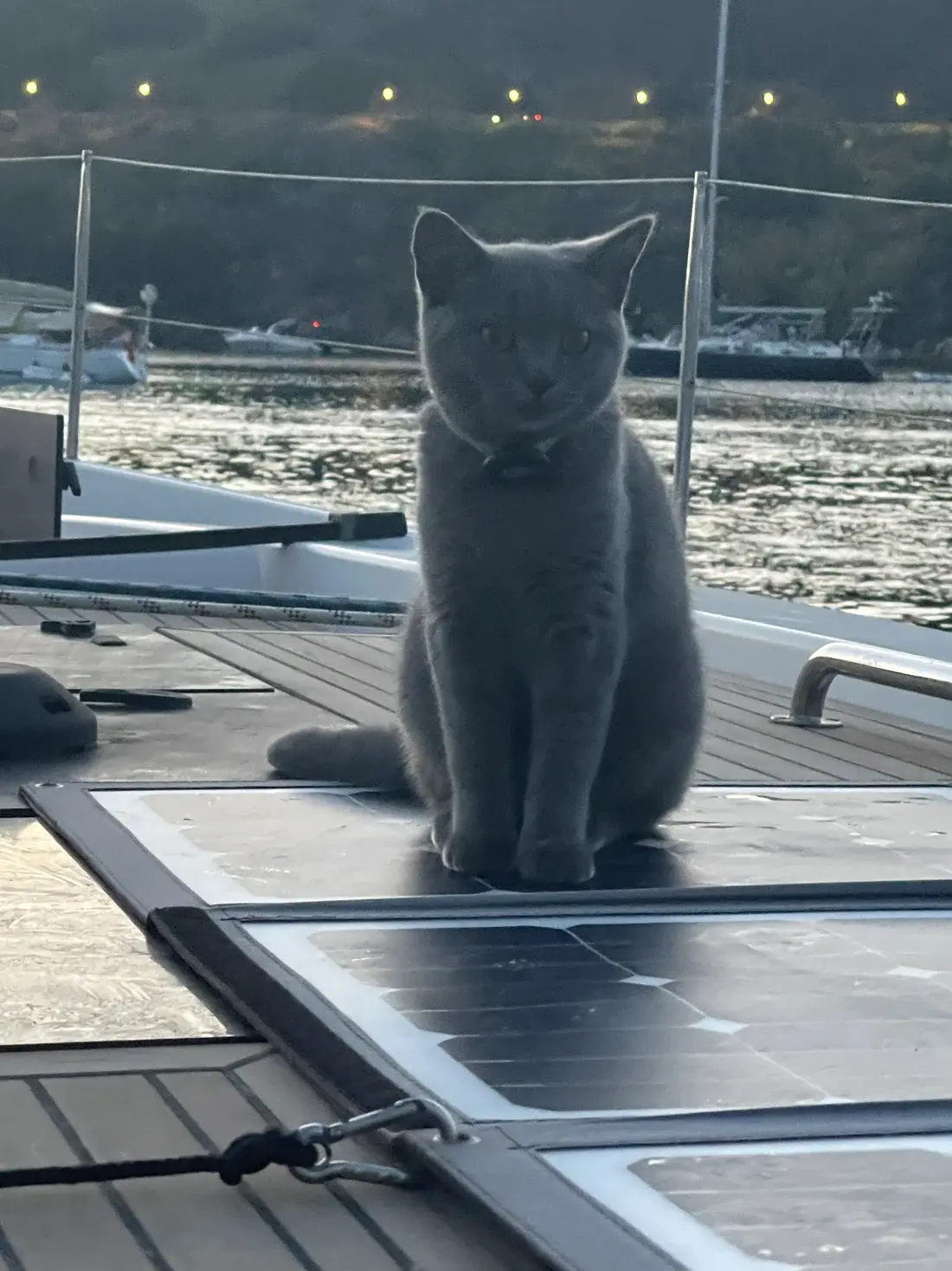 Ginny, erste Offizierin an Bord